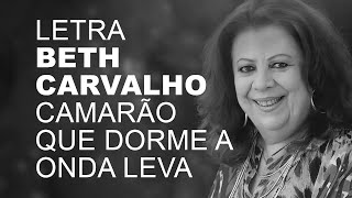 Beth Carvalho Camarão Que Dorme a Onda Leva LETRA I LYRIC [upl. by Terina557]