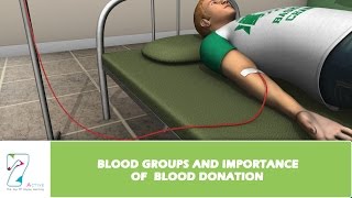 Blood Groups and Importance of Blood Donation [upl. by Ahsakal]