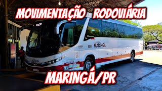 RODOVIÁRIA DE MARINGÁPR  MOVIMENTAÇÃO DE ÔNIBUS DAS 1245 ÀS 1430 [upl. by Ronoh]