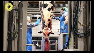 Inside The Meat Processing Plant  Inside The Food Factory  Incredible Process Worth Watching HD [upl. by Isewk]