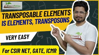 Transposable elements in prokaryotes and eukaryotes  Transposons and jumping genes  IS elements [upl. by Airdnat]