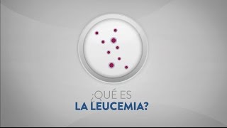 Leucemia  Sintomas diagnóstico e tratamento [upl. by Ettennig]