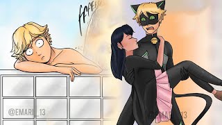 Chat Noir Will Have A New Skin Miraculous Ladybug Comic Dub [upl. by Yknarf]