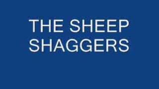 sheep shaggers [upl. by Enerak]