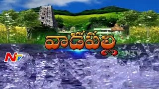 Godavari Pushkaralu  Vadapalli Venkateswara Temple  Punya Godavari  Special Story  Part 1  NTV [upl. by Blas]