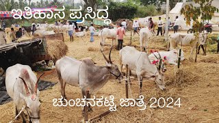 ಚುಂಚನಕಟ್ಟೆ ದನಗಳ ಜಾತ್ರೆ 2024 ಪ್ರಾರಂಭ [upl. by Sanjay]