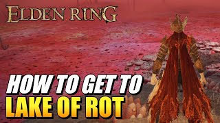 Elden Ring  How To Get To Lake Of Rot [upl. by Einaffets]