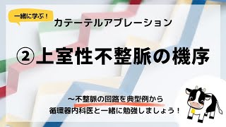 ②アブレーション～上室性不整脈の機序循環器内科医が解説します [upl. by Kirwin]