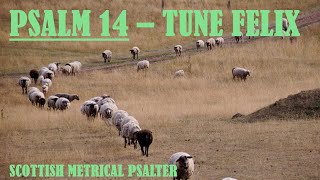 Scottish Metrical Psalter 1650 Psalm 14  Tune Felix  Devotional Intro amp Acapella Psalm Singing [upl. by Nooj]