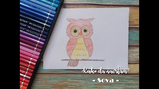 Kako da nacrtam  Sova  s03e09 [upl. by Nosittam331]