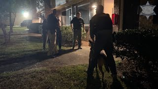 CCSO On Patrol Bank robbery suspect arrested with K9 unit’s help [upl. by Hitchcock781]