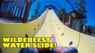 Wildebeest Water Slide POV Holiday World amp Splashin Safari Santa Claus Indiana Water Coaster [upl. by Rehpatsirhc]