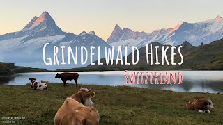 Grindelwald Switzerland  Grindelwald First  Bachalpsee 4K [upl. by Ellennod]