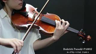 【楽器試奏動画】Roderich Paesold PA803J Violin [upl. by Notlrak702]