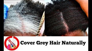 How To Turn White Or Grey Hair Into Black Naturally With No Chemicals Natural Hair Dye Step By Step [upl. by Aseiram]