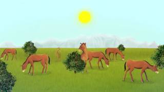 Evolution explained in an animation about the horse [upl. by Terrene]