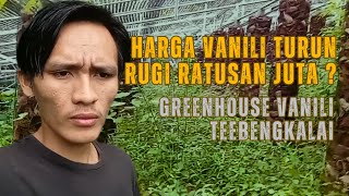 Vanili Dalam Greenhouse Terbengkalai  Greenhouse Vanilla Farming [upl. by Adnohsal]