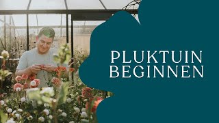 Starten met een pluktuin tips om de mooiste bloemen te kweken I Angelo Dorny [upl. by Leesen]