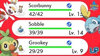 How to get All Three Starters in Pokemon Sword amp Shield Scorbunny Sobble amp Grookey [upl. by Ybbob]