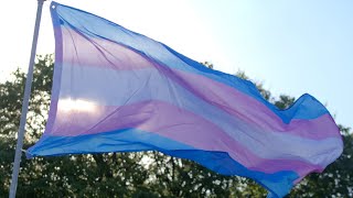 Shouldnt come as a surprise Trans activists outraged by Anglican ruling [upl. by Kristian634]