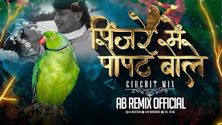 Pinjare Main Popat Bole Circuit Mix AB Remix  Mithun Chakraborty  Jolly Mukherjee  90sHit Song [upl. by Nylecoj]