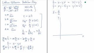LotkaVolterra PredatorPrey [upl. by Drandell340]