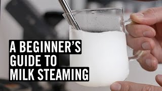 Everything You Need To Know To Steam Great Milk [upl. by Boigie740]