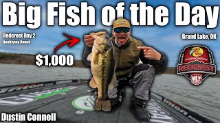 1000 Big Fish  MLF 2022 REDCREST  Qualifying Day 2 [upl. by Saber]