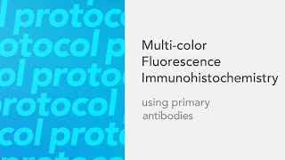 Multicolor Fluorescence Immunohistochemistry using primary antibodies [upl. by Eiramana]