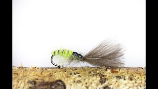 Fly Tying The CDC Grannom Sedge [upl. by Michaele672]