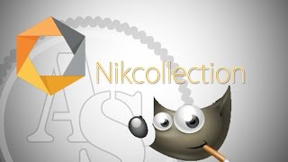 Make NIK Collection work in GIMP  Tutorial [upl. by Rawlinson]