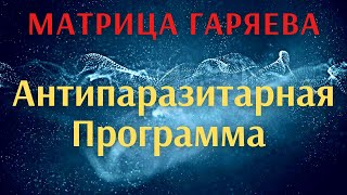 Чистая матрица Гаряева ПП  Антипаразитарная Программа [upl. by Atirehgram]