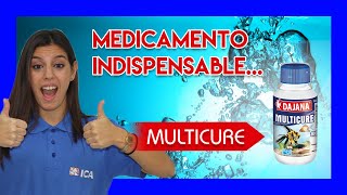 Cura múltiples enfermedades de tus peces con MULTICURE  Tratamiento salva vidas [upl. by Omocaig184]