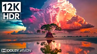 Dolby Vision 12K HDR 240fps  Experience the Unbelievable Nature  8K Earth [upl. by Adnal841]