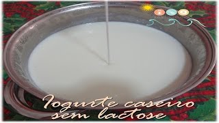 Como fazer Iogurte natural caseiro sem lactose [upl. by Ataga]