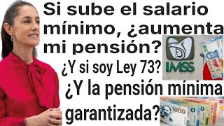 🔥SUBE SALARIO EN 2025 SUBE MI PENSIÓN IMSS PENSIONADOS JUBILADOS PAGOS 1 FEBRERO [upl. by Raila707]