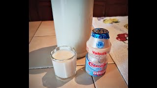 Yakult con lactobacillus con solo 3 ingredientes [upl. by Nibram]