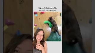 This rock climbing cat is a top athlete 🐈‍⬛ cat shorts [upl. by Inaleon]