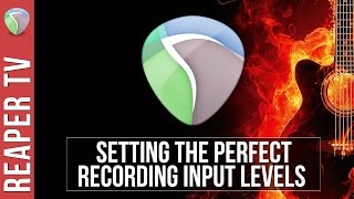 REAPER Setting Optimal Recording Levels [upl. by Dor]