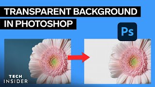 How To Make A Background Transparent In Photoshop [upl. by Siuqcram131]