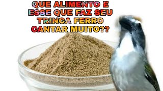 O ALIMENTO QUE E USANDO PARA APRONTAR TRINCA FERRO DURANTE DÉCADAS VOCÊ CONHECE [upl. by Remas]