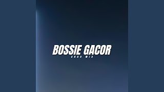 Bossie Gacor [upl. by Ivory714]