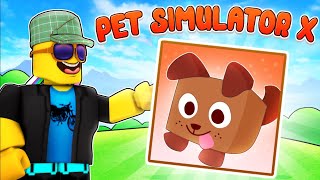 LOGGY BECOMING A BILLIONAIRE IN PET SIMULATOR X [upl. by Zinah]