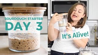 Day 3 How to Make a Sourdough Starter [upl. by Nylhsa]