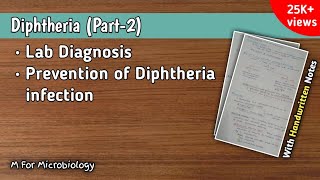 Diphtheria Part2  Lab diagnosis  Prevention of Diphtheria infections [upl. by Lemaceon]