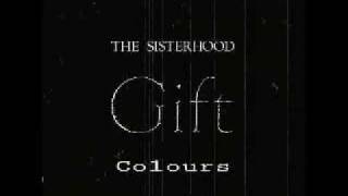 The Sisterhood  Colours [upl. by Silvers888]