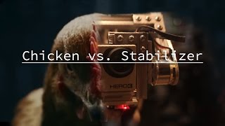 Chicken vs Stabilizer [upl. by Blandina]