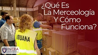 ¿Qué Es La Merceología Y Cómo Funciona [upl. by Caryl]