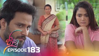 Jaanu  Episode 183  20231106  ITN [upl. by Silrak505]