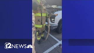 Boa constrictor slithers inside truck before extracted by Scottsdale firefighters [upl. by Delastre]